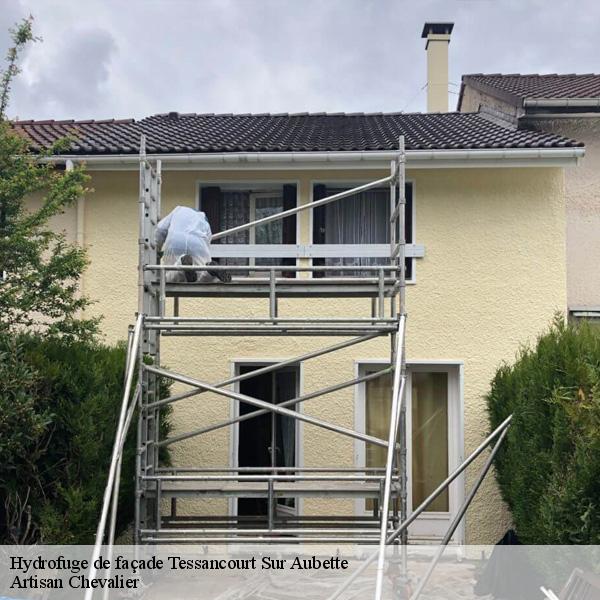 Hydrofuge de façade tessancourt-sur-aubette-78250 Artisan Chevalier